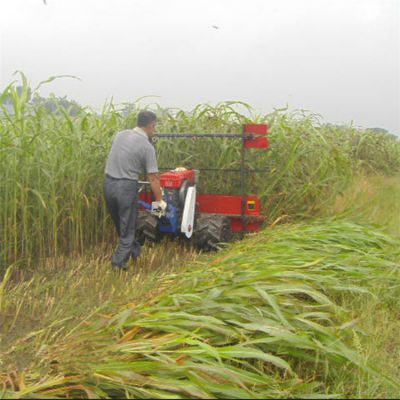 多行玉米大豆手扶收割机 农用小型辣椒秸秆收割机厂家