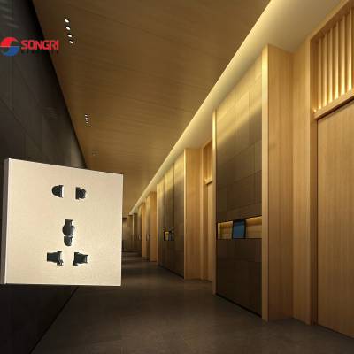 上海松日（SONGRI）二三极插座 五星酒店86型五孔插座 5位灯具电源墙壁插座面板