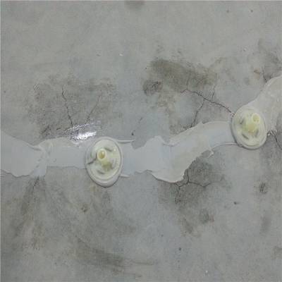 ʦѷϳֱ