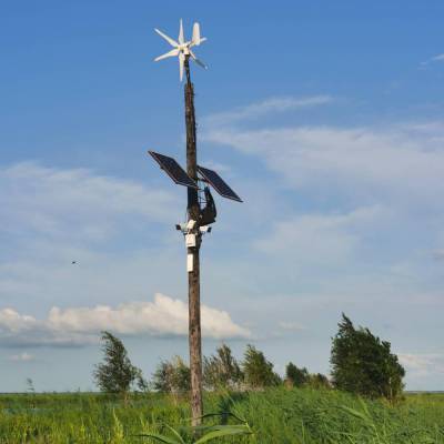 太阳能风力发电机风光互补供电系统智慧光伏