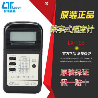 绝缘电阻DI-6300测试仪兆欧表欧姆档绝缘阻抗器台湾路昌lutron