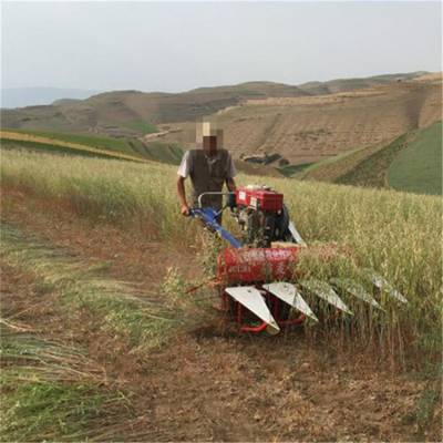 藏农收青稞放片机 高原小地块大麦收割机 手推一体机