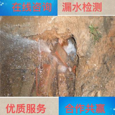 潍坊寿光供暖管道漏水检测***好的厂家