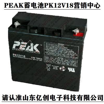 PEAK蓄电池PK12V24 12V24AH铅酸储能型产品 营销中心