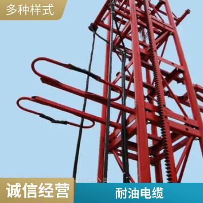 盛启 氟塑料高温耐油控制软电缆SSQH 4×1.5-设计图纸