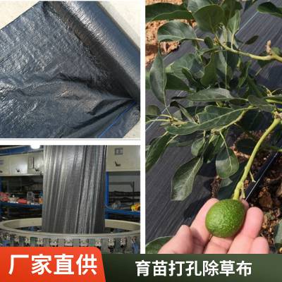 厂家加工现货 100克黑色除草布 施工简单 承接大型订单