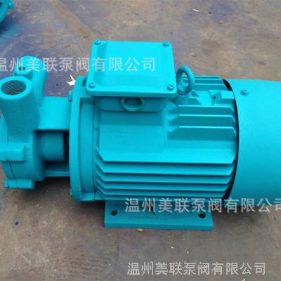 W型旋涡泵 不锈钢旋涡泵 高杨程旋涡泵 4分W1.25-8