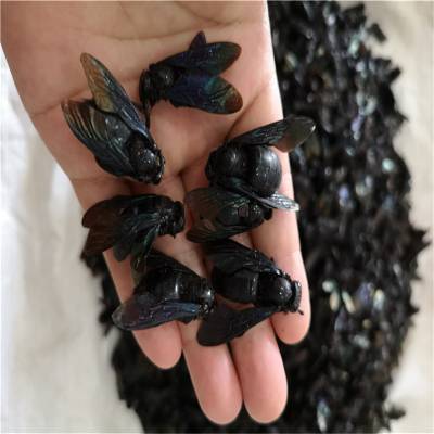 竹蜂哪里购买竹蜂是什么蜂竹蜂价格多少一公斤