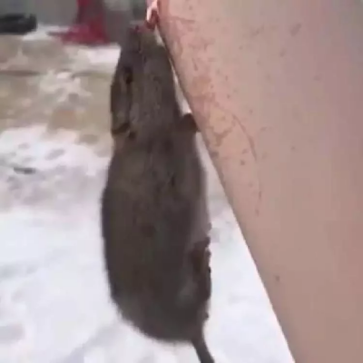 ˾  ˾绰