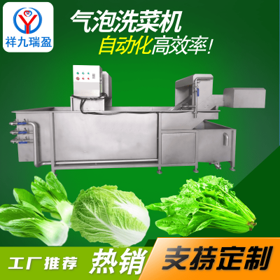 祥九瑞盈RY-3500-3型多功能气泡洗菜机 蔬菜水果清洗机