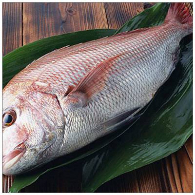 大笑包点艾青水塔糕全澳食品食堂供货曲江区食材配送烧烤食材批发