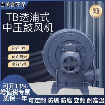 TB150-10 塑料机械中压风机透浦式鼓风机 吹膜机用耐高温吹吸两用