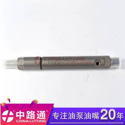 【潍柴WD615喷油器 喷油嘴偶件】KBEL132P110配L203PBA油嘴【喷油器总成】