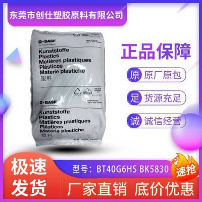 PA6 德国巴斯夫 BT40G6HS BK5830 注塑级