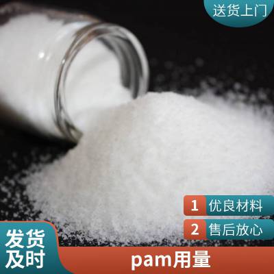 聚丙烯酰胺 工业污水处理洗煤洗沙净水絮凝剂PAM 蓝宇化工