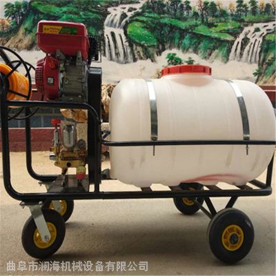 四冲程大功率喷药机 小区绿植绿化远距离打药机 200L汽油喷雾器