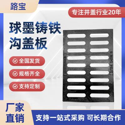 路宝 球墨铸铁排水沟盖板生产厂家单箅子雨水篦子猪漏板300*500