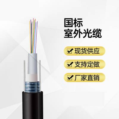 288芯带状光缆96芯光缆72芯单模光缆48芯电信股光纤24芯12芯