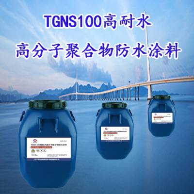 TGNS100高耐水高分子聚合物防水涂料 因为专心所以专业