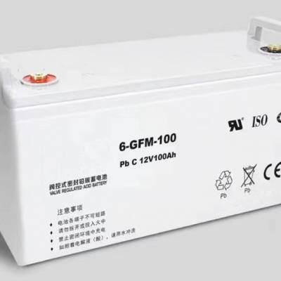 铅碳蓄电池6-GFM-100 12V100AH UPS电源 太阳能光伏 EPS