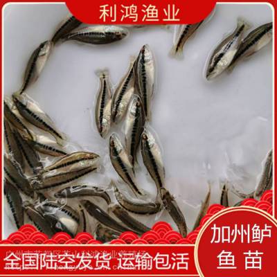  ҵ ں糡 ˮɻ*** ṩֳ ˮ