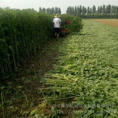 微型加高益母草收割机 柴油动力手推割晒机报价