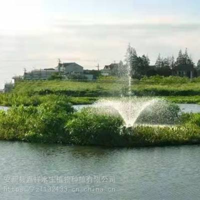 湖南复合纤维生态浮岛浮动湿地,水体绿化 净化水质 寿命长