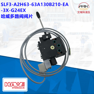 HaweSLF3-A2H63/63A130B210/EA/3X-G24EXʽ·