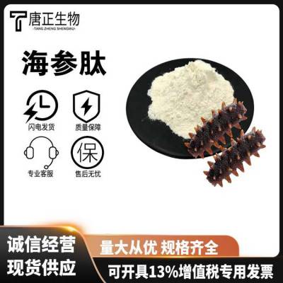 ***批发海参肽生产厂家 食品原料营养强化剂小分子活性肽