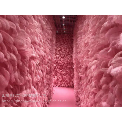 Ļλôݺɭ ǽëǽ Ҷֱ