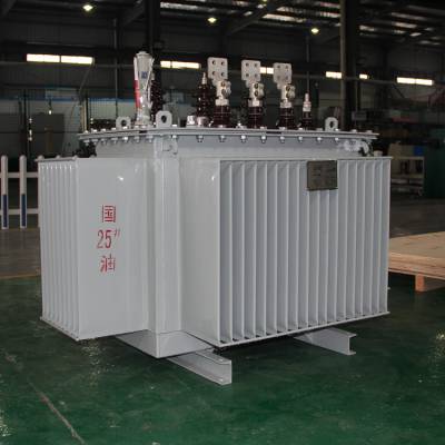 S11-800KVA 10/0.4KV ͽʽѹ ͭо ʱ