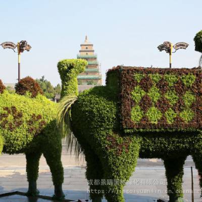 四川真植物绿雕造型厂家批发-定制绿雕详情