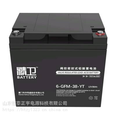 6-GFM-65-YTܷʽǦ12V6H ֱUPS