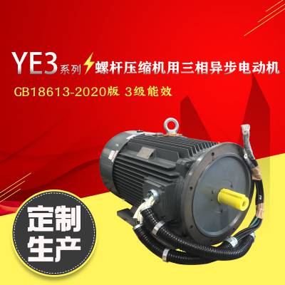 YE2-280XM-2-110kW綯ݸѹ¿YE3/YE4