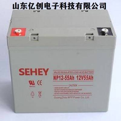 SEHEYNP55-1212V55AHӦϵͳ