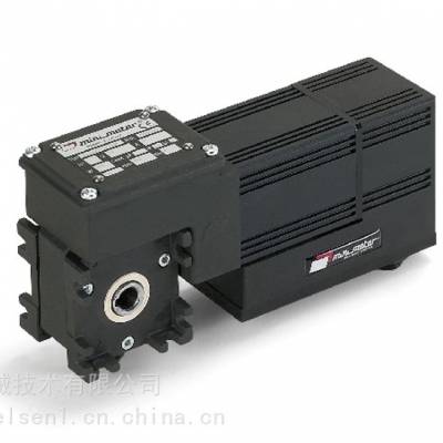 意大利 Mini Motor 无刷电机带集成驱动器 DBS-S3