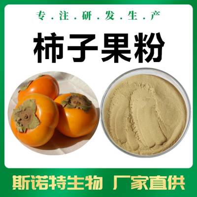 柿子果粉 斯诺特生物 食品固体饮料代餐粉原料 一公斤起订