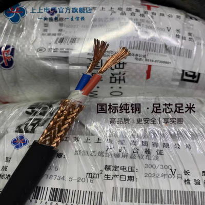 ϵ¼ZC-RVSP 2*1.0ƽͭо˫ɵ