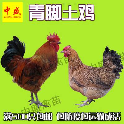 2019|Ϲ۸Ǯһֻ