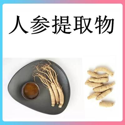 人参提取物 斯诺特生物 水提醇沉无添加 固体饮料压片糖果原料