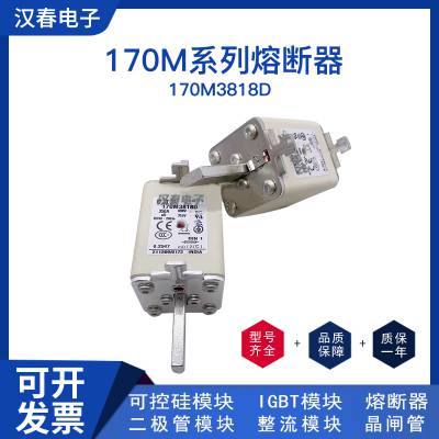 熔断器BUSSMANN巴斯曼170M3818 690V 350A 新批次22+
