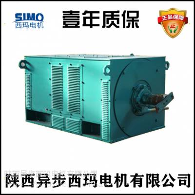 西玛电机simo-Y5005-12/250KW/10KV高压电动机的壹年质保