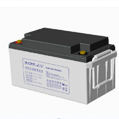 理士牌 阀控密封式铅酸免维护电池 DJM1265