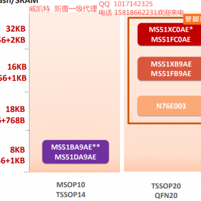 新唐代理 新唐一级代理 新唐深圳授权核心代理商 MS51PC0AE