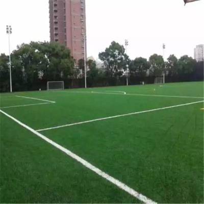 建筑施工人工草皮 假草坪幼儿园 工地围挡人造草地 瑞莱