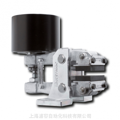 Ringspann DV 030 FPM-050L-12 ƶ