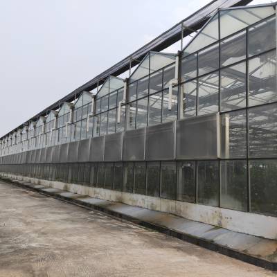 尖顶玻璃温室 建设玻璃温室大棚厂家 智能温室大棚安装