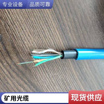 矿用光缆 煤矿阻燃光纤 通信传输 MGTS33(2~144)B鑫津缆