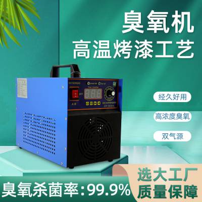 贵州科为新品10G臭氧机蔬菜瓜果去农药臭氧除味10克臭氧消毒机O3