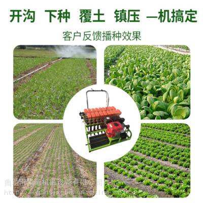白萝卜精密种植机 免耕型药材牧草精播机 蔬菜播种机